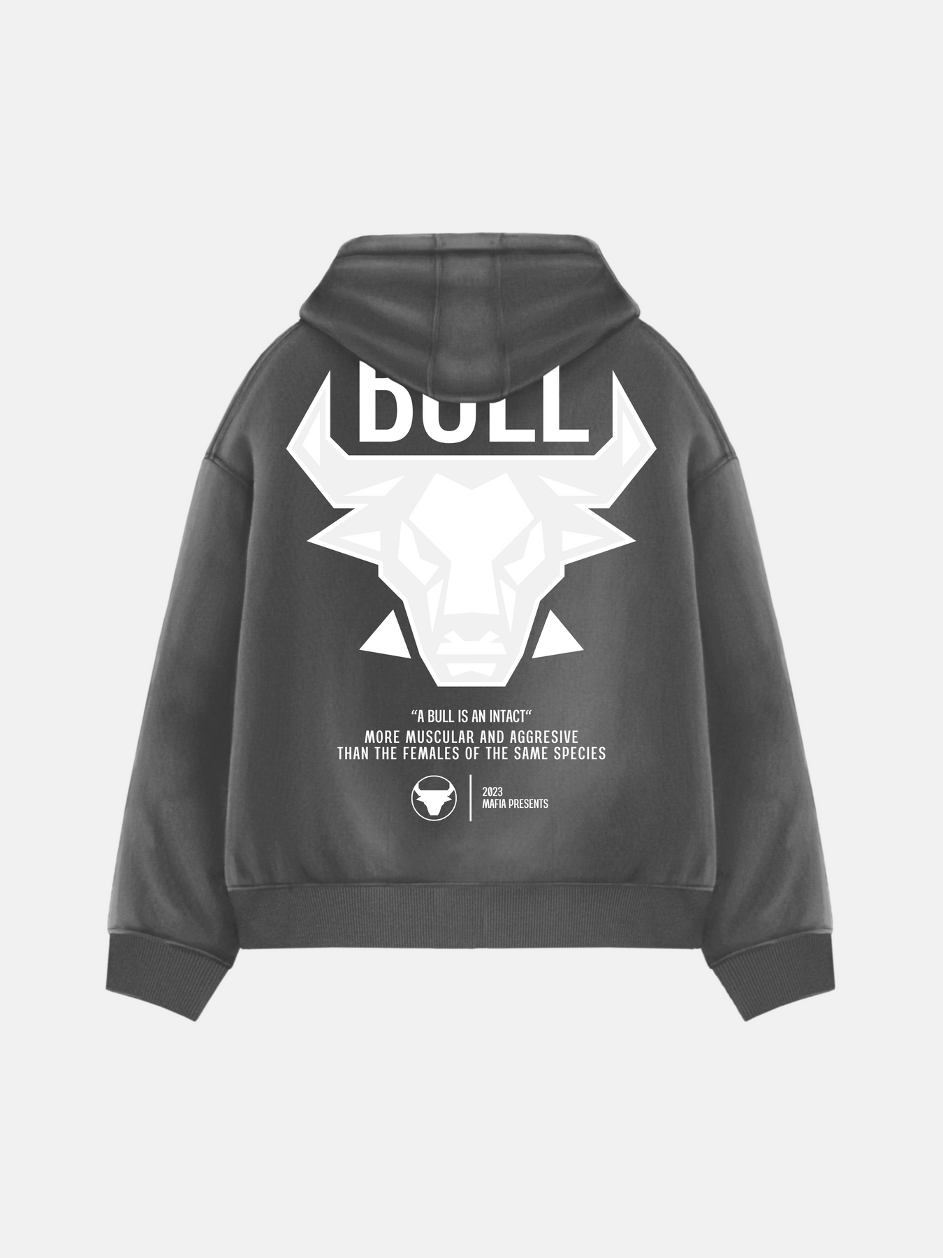 Oversize Bull Hoodie - Anthracite