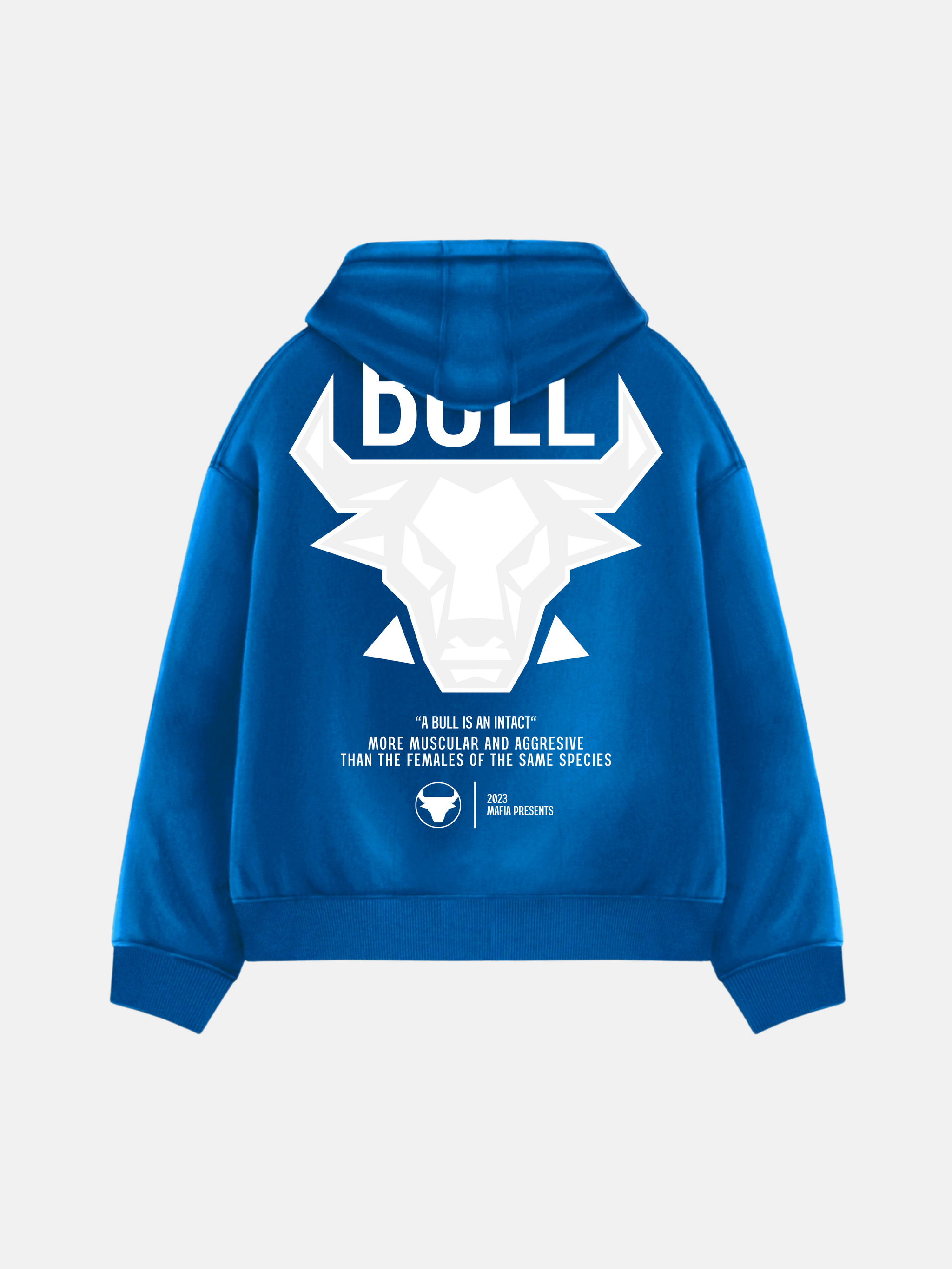 Oversize Bull Hoodie - Saks