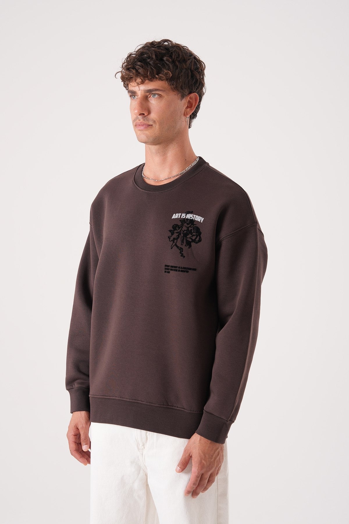 Men’s Crewneck Sweatshirt – Art Is History (Brown)