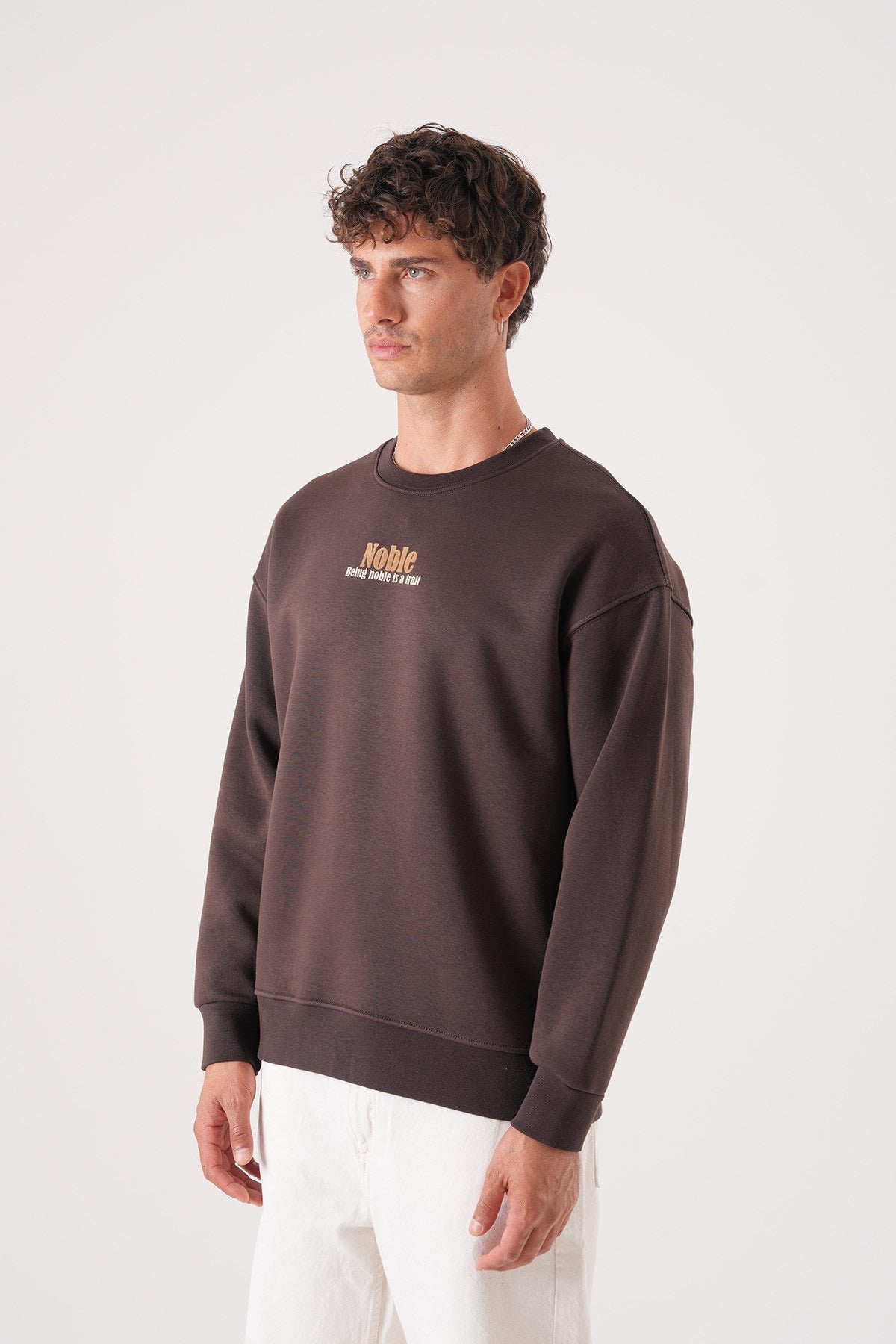Men’s Crewneck Sweatshirt – Noble Embroidery (Brown)