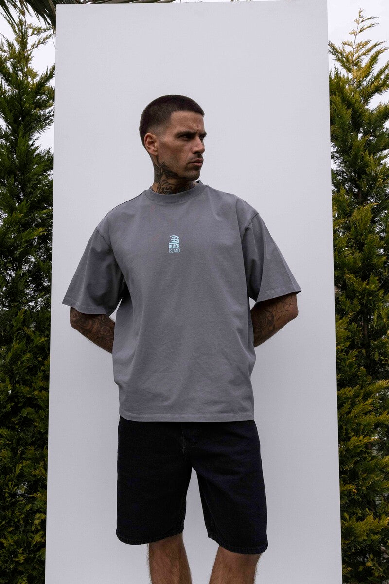 BLACK ISLAND TEAM PRINTED WASHED T-SHIRT GRAY 1851